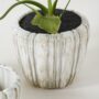 Cedric Pot – Off White – 6.25″